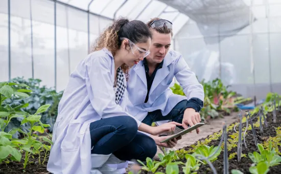 Estudiante de ingeniería agroindustrial analizando procesos en laboratorio